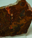 Bird's Eye Rhyolite Slab - Radiant Rocks CT
