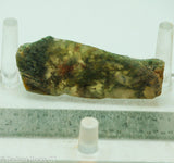 Mossy Bloodstone Agate Slab - Radiant Rocks CT
