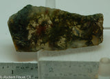 Mossy Bloodstone Agate Lapidary Slab 0.9 oz (24 grams).