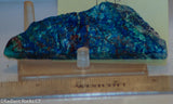Blue Bird Mine Chrysocolla Azurite Malachite slab 2.2 oz (60 grams)