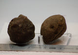 Botswana banded agates 2 lapidary nodules 8.0 oz (225 grams)