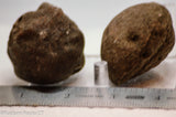 Botswana banded agates 2 lapidary nodules 8.0 oz (225 grams)