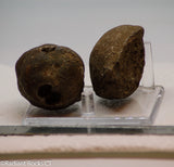Botswana banded agates 2 lapidary nodules 8.0 oz (225 grams)