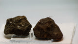 Botswana banded agates 2 lapidary nodules 7.4 oz (210 grams)