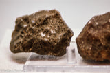 Botswana banded agates 2 lapidary nodules 7.4 oz (210 grams)