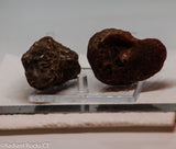 Botswana banded agates 2 lapidary nodules 7.4 oz (210 grams)