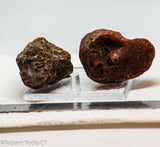 Botswana banded agates 2 lapidary nodules 7.4 oz (210 grams)