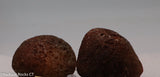 Botswana banded agates 2 lapidary nodules 8.6 oz (245 grams)