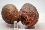 Botswana banded agates 2 lapidary nodules 8.6 oz (245 grams)