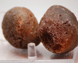 Botswana banded agates 2 lapidary nodules 8.6 oz (245 grams)