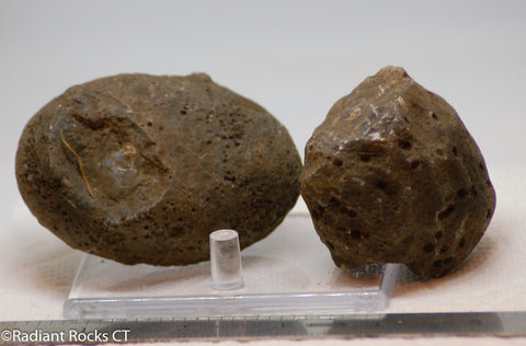 Botswana banded agates 2 lapidary nodules 10.6 oz (300 grams)