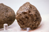 Botswana banded agates 2 lapidary nodules 10.6 oz (300 grams)