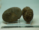 Botswana banded agates 2 lapidary nodules 10.6 oz (300 grams)