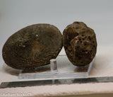 Botswana banded agates 2 lapidary nodules 10.6 oz (300 grams)