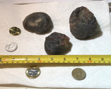 Botswana banded agates 17 oz (480 grams) 3 lapidary nodules - radiantrocksct
