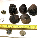 Botswana banded agates 17.2 oz (490 grams) 5 lapidary nodules - radiantrocksct