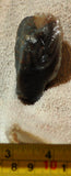 Botswana banded agate 2.2 oz lapidary nodule piece - radiantrocksct
