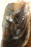 Botswana banded agate 2.2 oz lapidary nodule piece - radiantrocksct