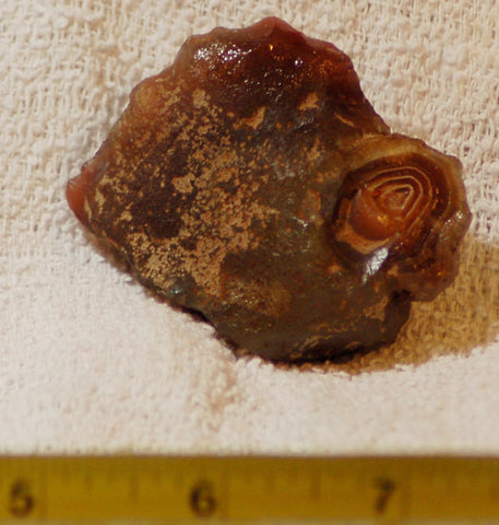 Botswana banded agate 2.0 oz lapidary nodule piece - radiantrocksct