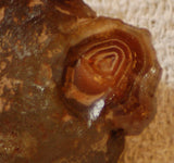 Botswana banded agate 2.0 oz lapidary nodule piece - radiantrocksct