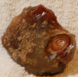 Botswana banded agate 2.0 oz lapidary nodule piece - radiantrocksct