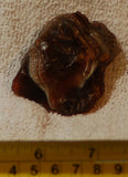 Botswana banded agate 2.0 oz lapidary nodule piece - radiantrocksct