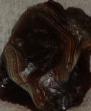 Botswana banded agate 2.0 oz lapidary nodule piece - radiantrocksct