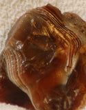 Botswana banded agate 2.0 oz lapidary nodule piece - radiantrocksct