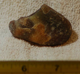 Botswana banded agate 1.6 oz lapidary nodule piece (45 gram) - radiantrocksct