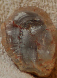 Botswana banded agate 0.8 oz lapidary nodule piece (23 gram) - radiantrocksct