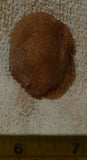 Botswana banded agate 0.8 oz lapidary nodule piece (23 gram) - radiantrocksct