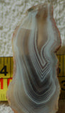 Botswana banded agate 0.6 oz lapidary  slab (15 gram) - radiantrocksct