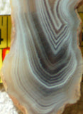 Botswana banded agate 0.6 oz lapidary  slab (15 gram) - radiantrocksct