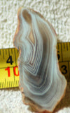 Botswana banded agate 0.6 oz lapidary  slab (15 gram) - radiantrocksct