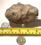 Botswana banded agate lapidary nodule 12.6 oz (360 grams) - radiantrocksct
