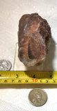 Botswana banded agate lapidary nodule 12.6 oz (360 grams) - radiantrocksct