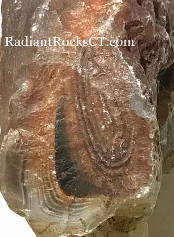Botswana banded agate lapidary nodule 12.6 oz (360 grams) - radiantrocksct