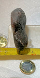 Botswana banded agate nodule 6.2 oz  (175 grams) - radiantrocksct