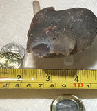 Botswana banded agate nodule 6.6 oz  (180 grams) - radiantrocksct