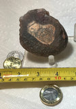 Botswana banded agate nodule 6.6 oz  (180 grams) - radiantrocksct