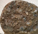 Botswana banded agate nodule 11 oz  (310 grams) - radiantrocksct