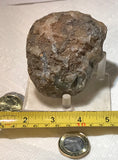 Botswana banded agate nodule 11 oz  (310 grams) - radiantrocksct