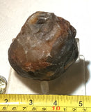 Botswana banded agate nodule 12.6 oz  (360 grams) - radiantrocksct