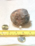 Botswana banded agate nodule 9.0 oz  (255 grams) - radiantrocksct