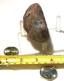 Botswana banded agate nodule 9.0 oz  (255 grams) - radiantrocksct