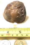 Botswana banded agate 3.8 oz half nodule (120 grams) - radiantrocksct