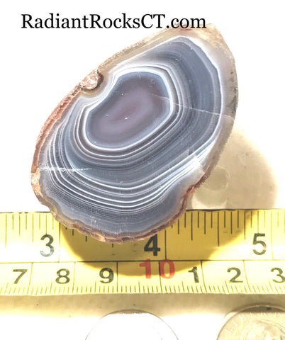 Botswana banded agate 3.8 oz half nodule (120 grams) - radiantrocksct