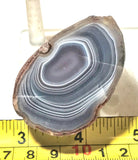 Botswana banded agate 3.8 oz half nodule (120 grams) - radiantrocksct
