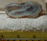 Botswana banded lapidary face cut slab agate 0.8 oz  (23 grams) - radiantrocksct