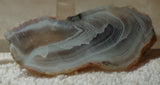 Botswana banded lapidary face cut slab agate 0.8 oz  (23 grams) - radiantrocksct
